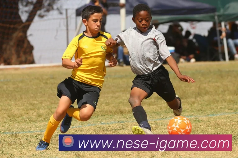 爱游戏管理服务体系